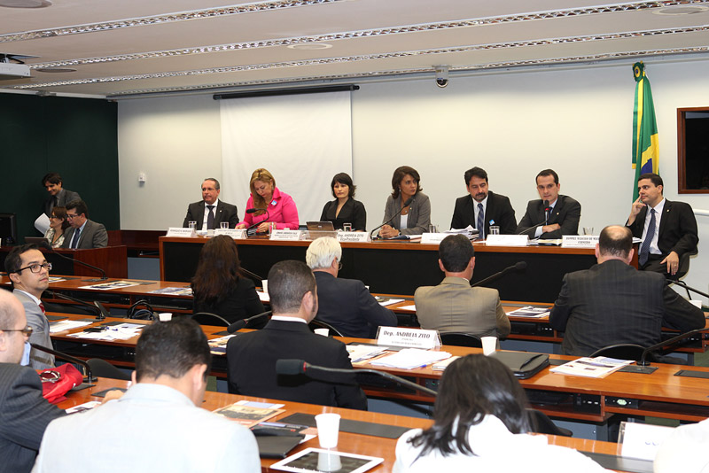 Câmara realiza primeiro debate sobre PLP 205