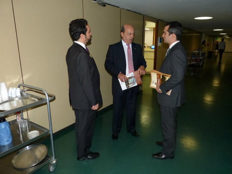 Lei Orgânica: Advogados públicos protestam na Câmara contra PLP 205